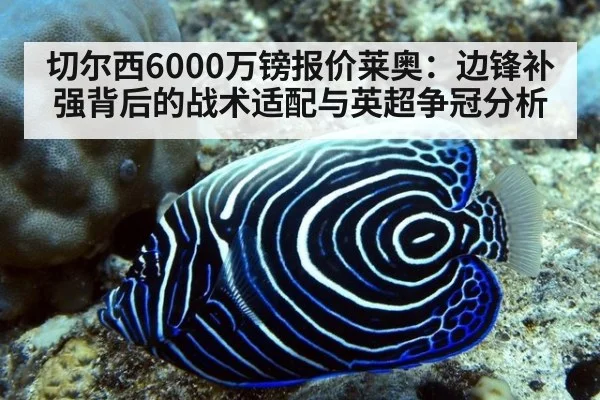 切尔西6000万镑报价莱奥:边锋补强背后的战术适配与英超争冠分析