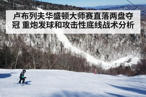 卢布列夫华盛顿大师赛直落两盘夺冠 重炮发球和攻击性底线战术分析